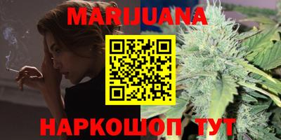 тгк Бердск