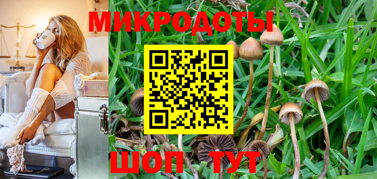 Кольчугино  Галлюциногенные грибы MAGIC MUSHROOMS  дарнет шоп  Вход с VPN 